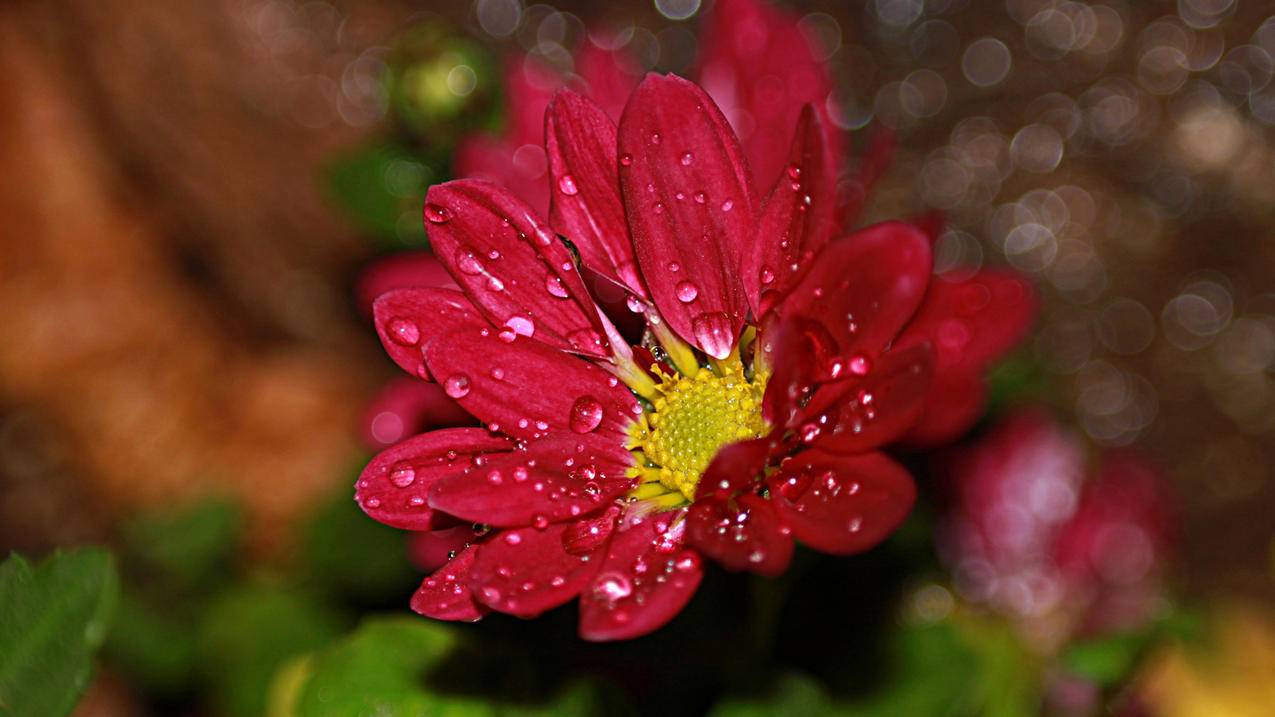 0.01元一万快手赞网,王者荣耀刷主页人气值网站,qq刷赞1毛10万-在线自助下单平台苹果