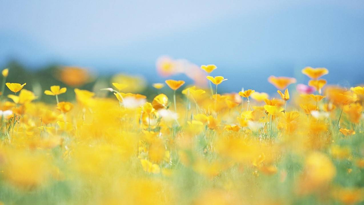 qq邮箱收不到香港苹果id验证码_邮箱接收不到苹果手机id验证码 - 香港苹果ID - 55dz账号网