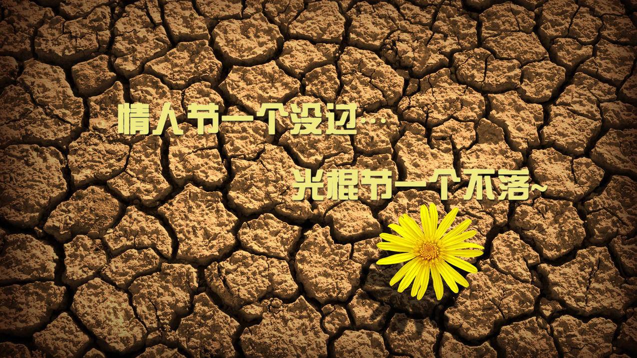 一元美区id购买 - 美国苹果ID - 55dz账号网