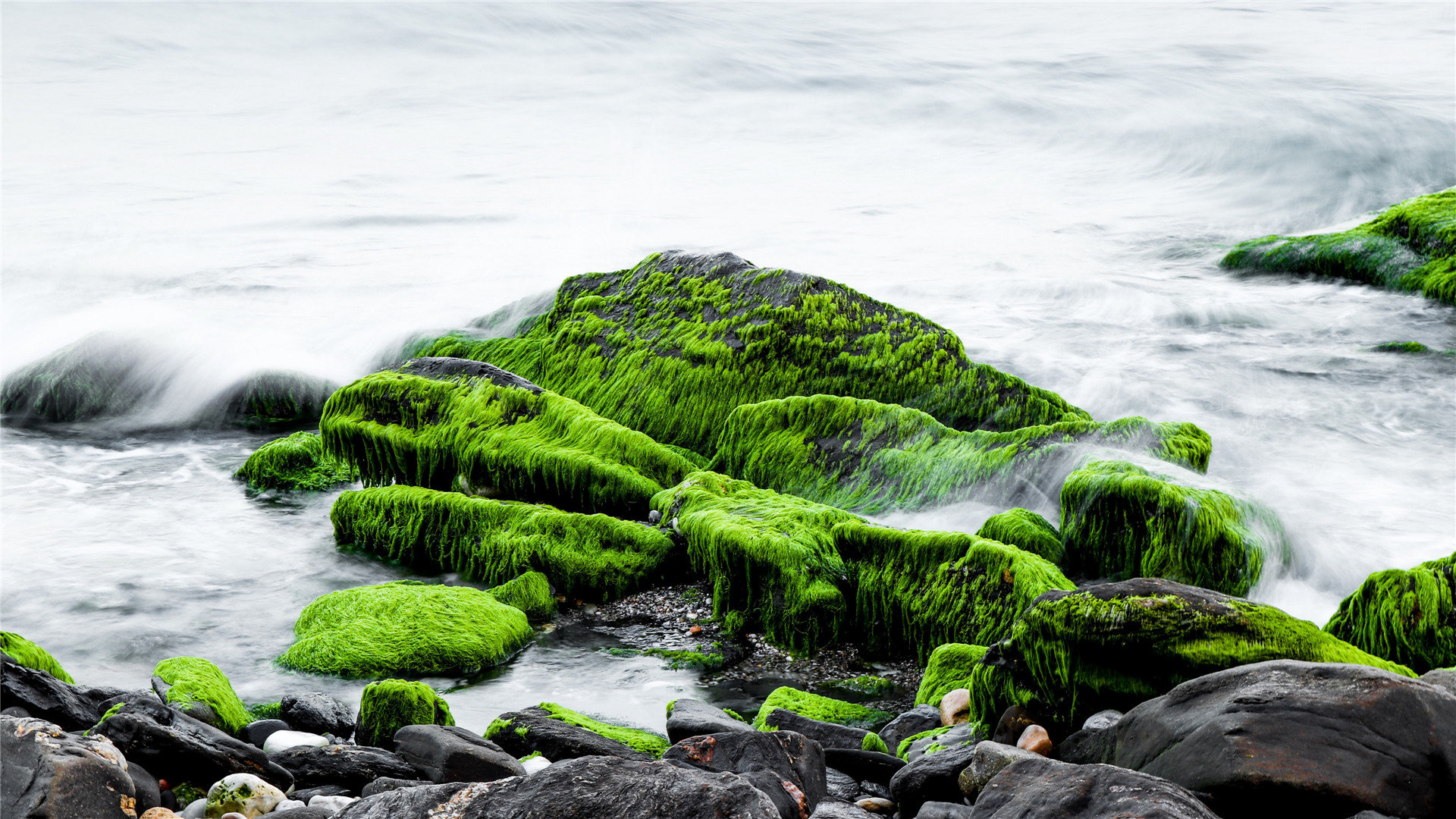 vivo手机googleplay服务怎么开启_vivogoogleplay怎么关闭 - google相关 - 55dz账号网