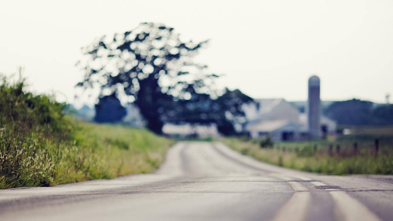 tiktok国际版下载安装苹果_tiktok国际版怎么下载苹果 - tiktok相关 - 55dz账号网