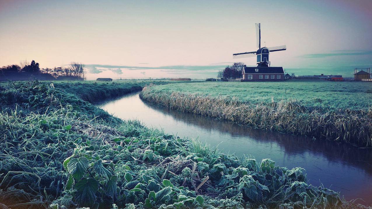 菲律宾apple id显示已停用是什么原因（菲律宾apple id显示已停用是什么原因） - 各区苹果ID - 55dz账号网