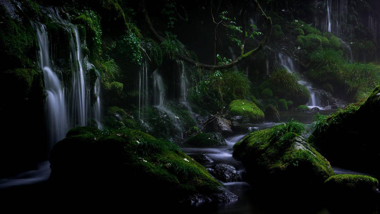 微信企业号可以申请几个_一个企业可以申请几个微信号 - 微信相关 - 55dz账号网