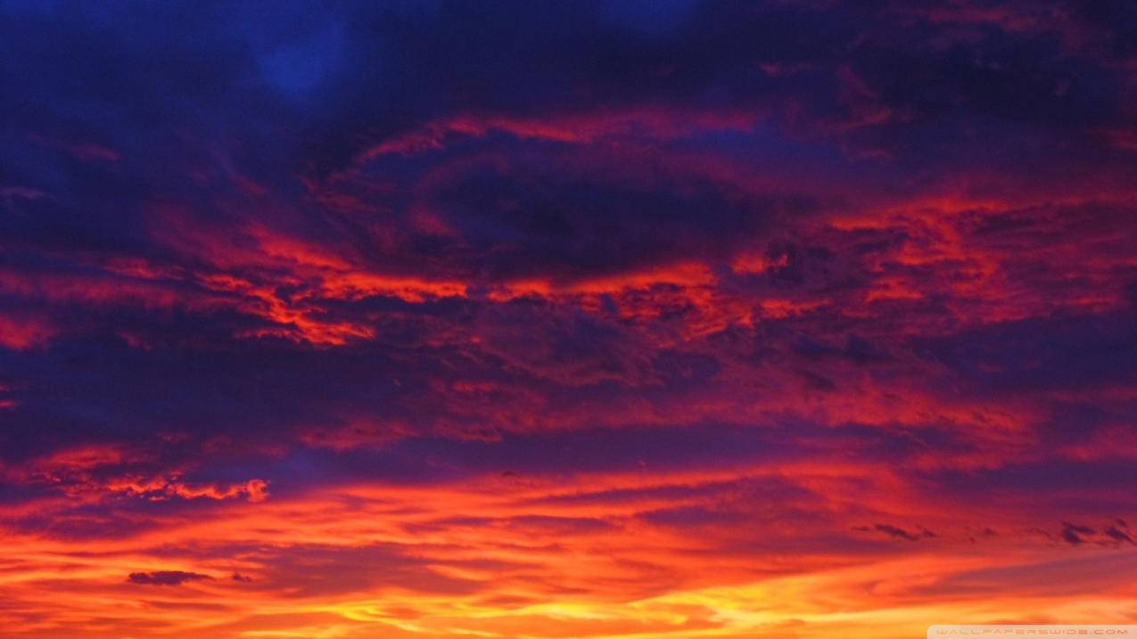 怎么用手机看番茄视频?  ( 怎么把手机小火箭分享到电脑上 ) - 55dz账号网