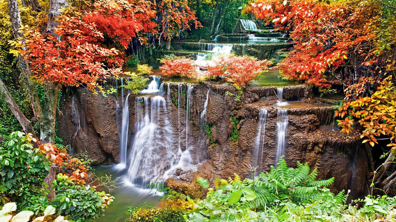 apple id忘记密码怎么办 ， 我的苹果手机id密码忘了怎么办啊!  - 55dz账号网