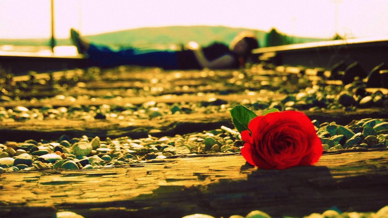 为什么抖音月付单笔超500用不了？它该怎么解决？-dy业务网