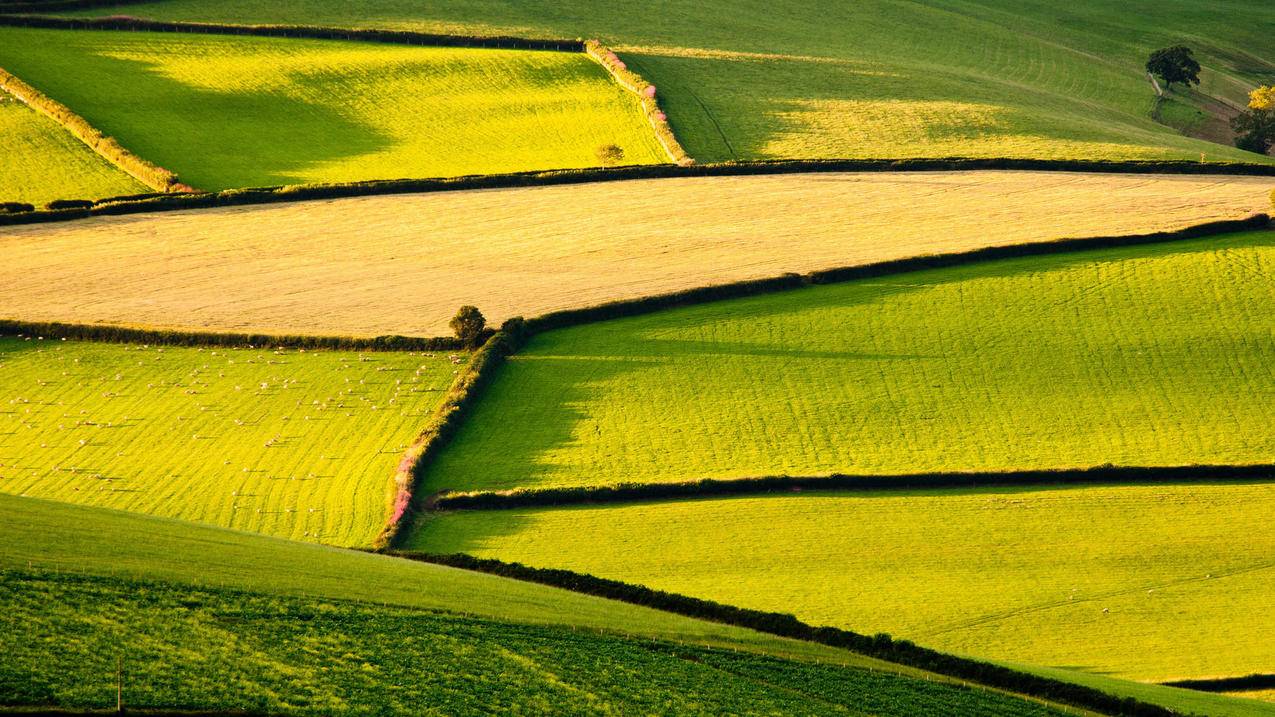 天津市油管厂_天津市油管厂属于天福集团 - youtube相关 - 55dz账号网