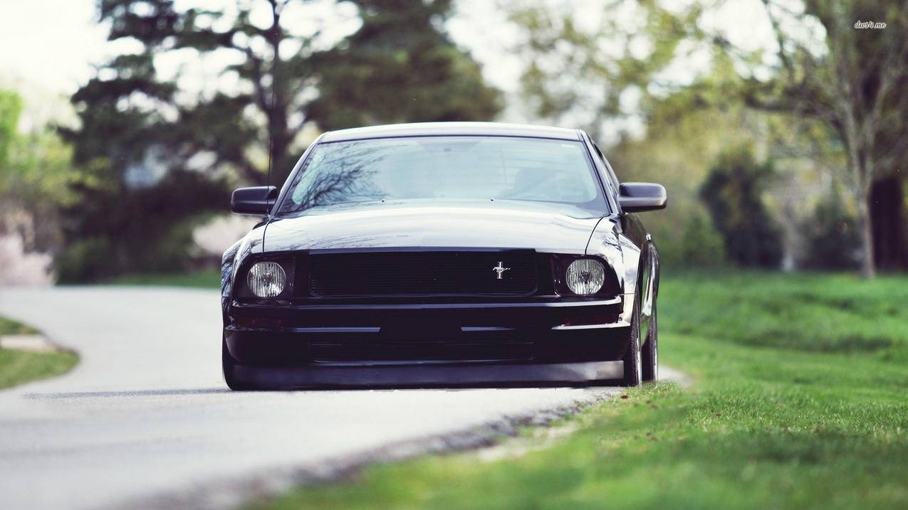 小火箭怎么设置  ( 一键加速下载小火箭 ) - 55dz账号网