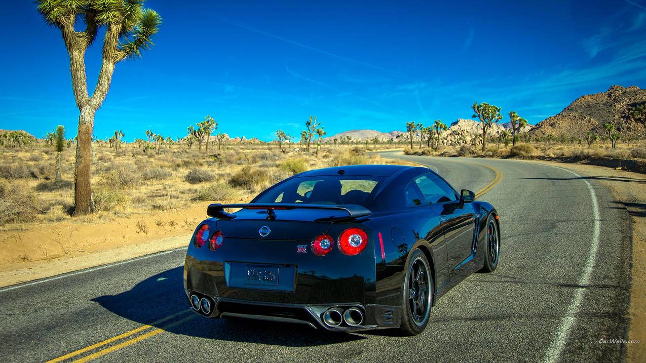 辐射避难所online阵容2021_辐射避难所online阵容2021平民 - Line相关 - 55dz账号网