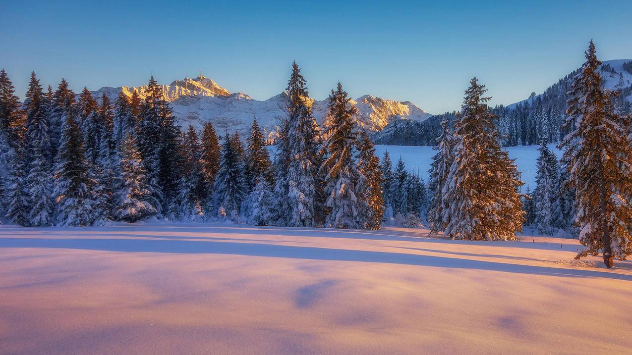 推特可以不登录直接看吗  ( Twitter只下载app可以用吗? ) - 55dz账号网