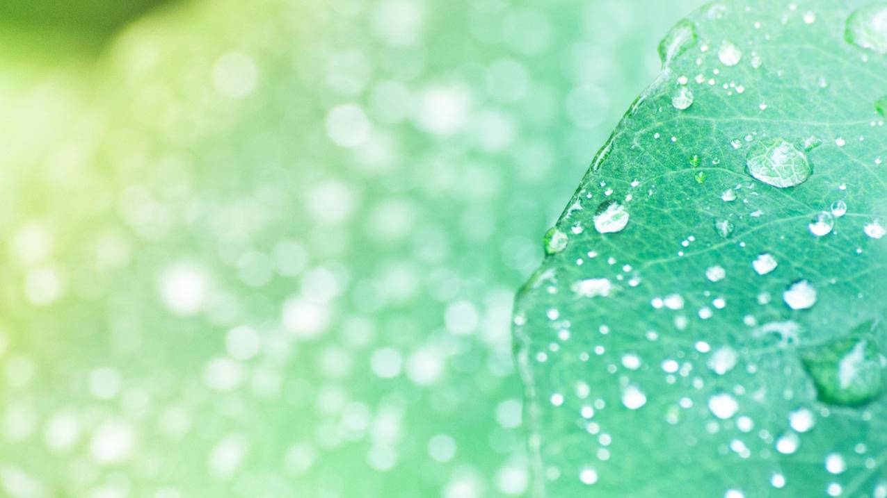 苹果手机id密码改不了怎么办啊 ， 苹果apple ID被禁用,修改密码无效如何解除  - 55dz账号网