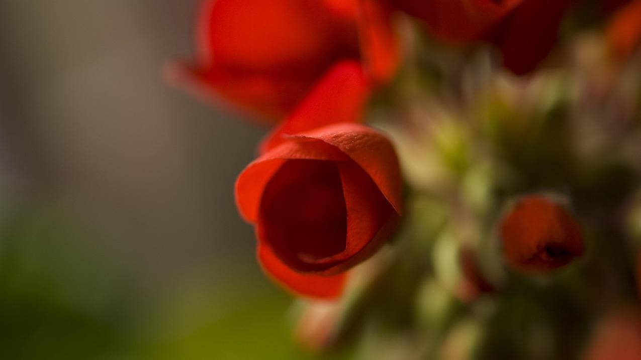 微博1000赞多少钱-QQ空间刷优质说说赞,球球大作战刷人气平台全网,qq刷赞平台千万,雷神代刷网自助