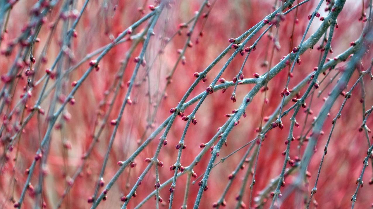 自助业务商城会员 - qq免费刷赞神器2020,qq刷赞网站爱赞