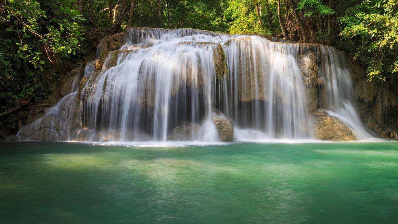 抖音业务下单24小时,直播间怎么买人气_低价业务网