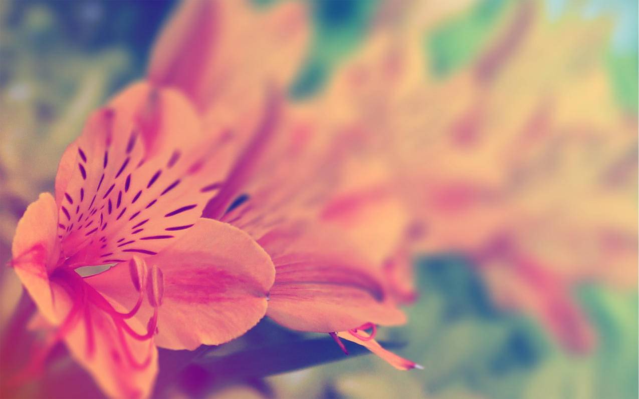 高中数学必须掌握的核心结论有哪些？ - 自助下单ks - ks24小时自助