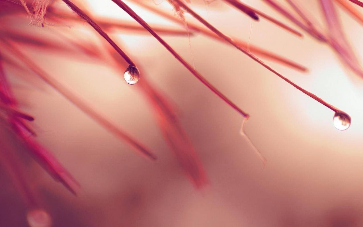 创建新的苹果id需要什么_如果创建新的苹果id - 各区苹果ID - 55dz账号网