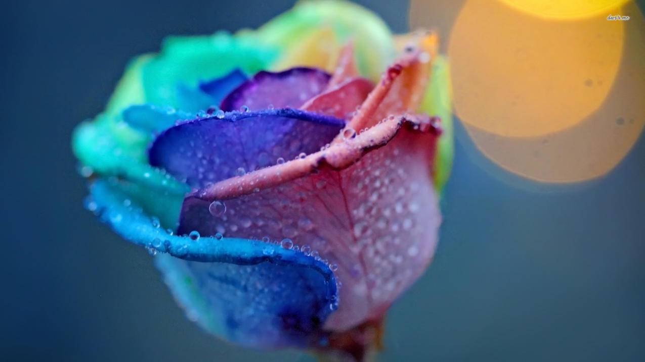 qq免费刷3万赞-6年诚信代刷网站-刷赞网站平台快手,音遇pick自助下单平台