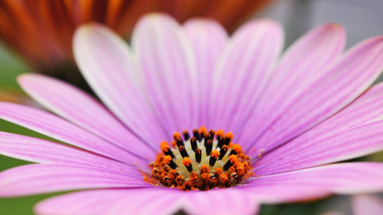 日本苹果id共用能看到短信吗_苹果id日本共享 - 日本苹果ID - 55dz账号网