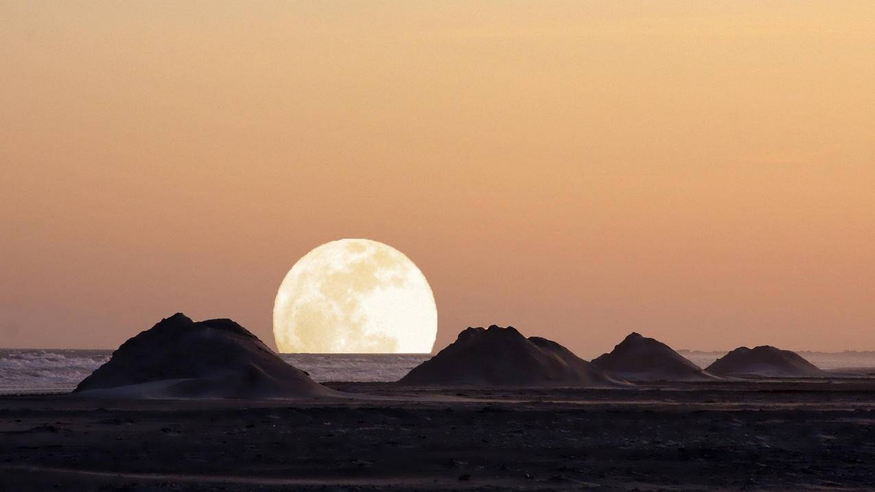 推特如何取消隐私设置苹果_推特怎么关闭隐私 - tw相关 - 55dz账号网