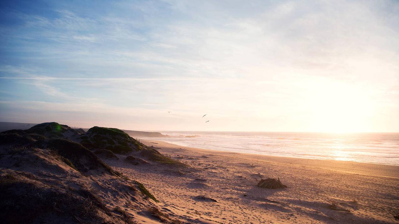 shadowrocket去广告的简单介绍 - 注册外服方法 - 55dz账号网