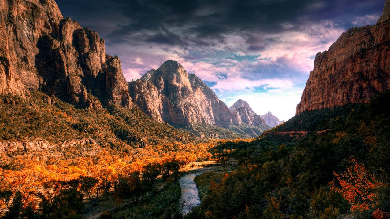 本机怎么不能拼多多砍价-dy业务网