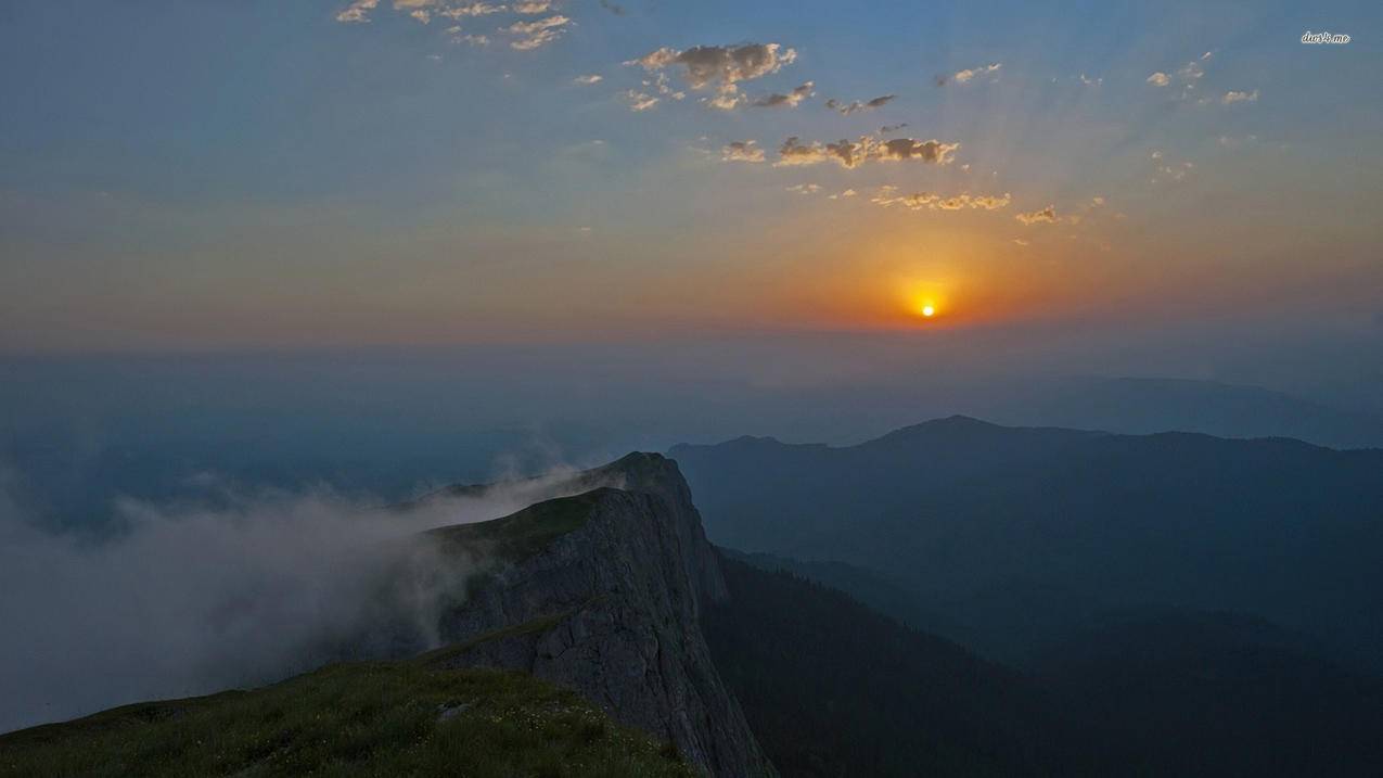 苹果手机为什么用不了推特这个软件_为什么我的苹果手机用不了推特 - tw相关 - 55dz账号网