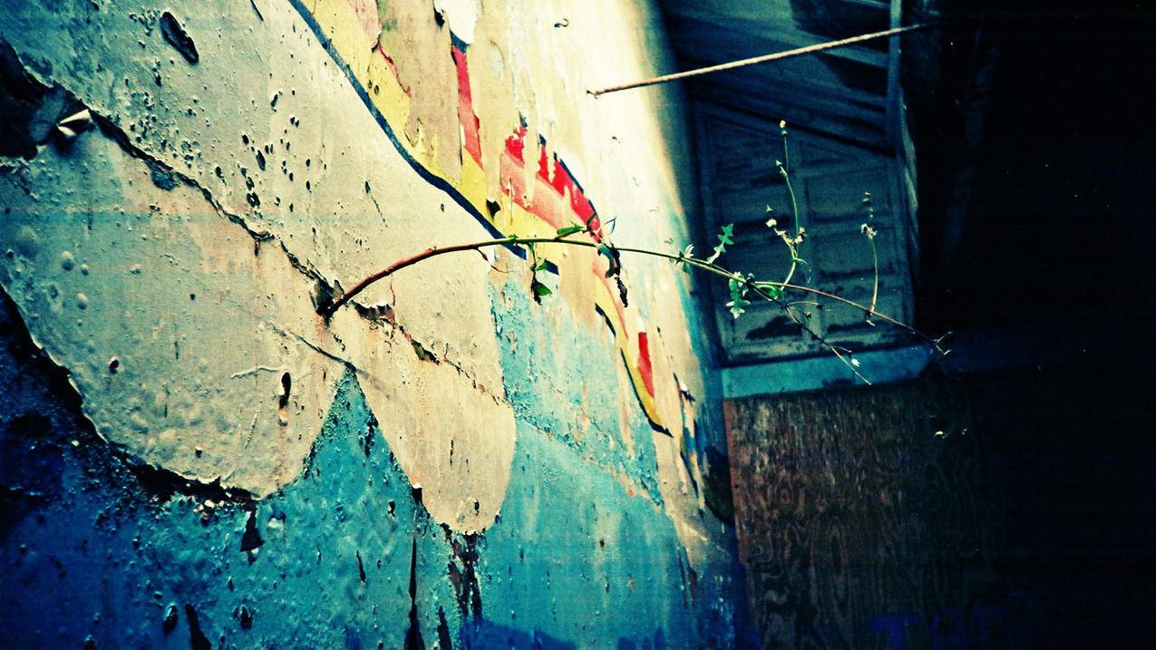 别人知道我的日本苹果id不知道密码_苹果appstore日本账号密码 - 日本苹果ID - 55dz账号网