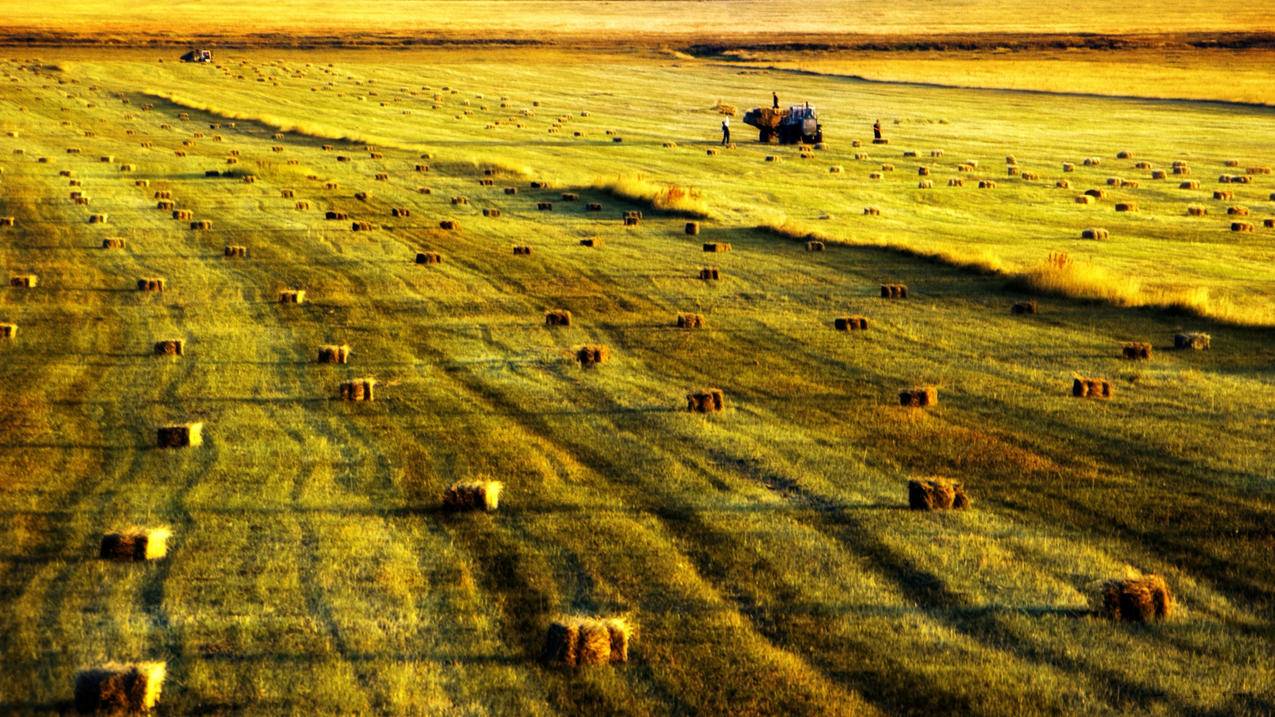 nba2k20物色潜力新秀手机版视频_nba2k20物色潜力新秀如何签约 - IOS分享 - 55dz账号网