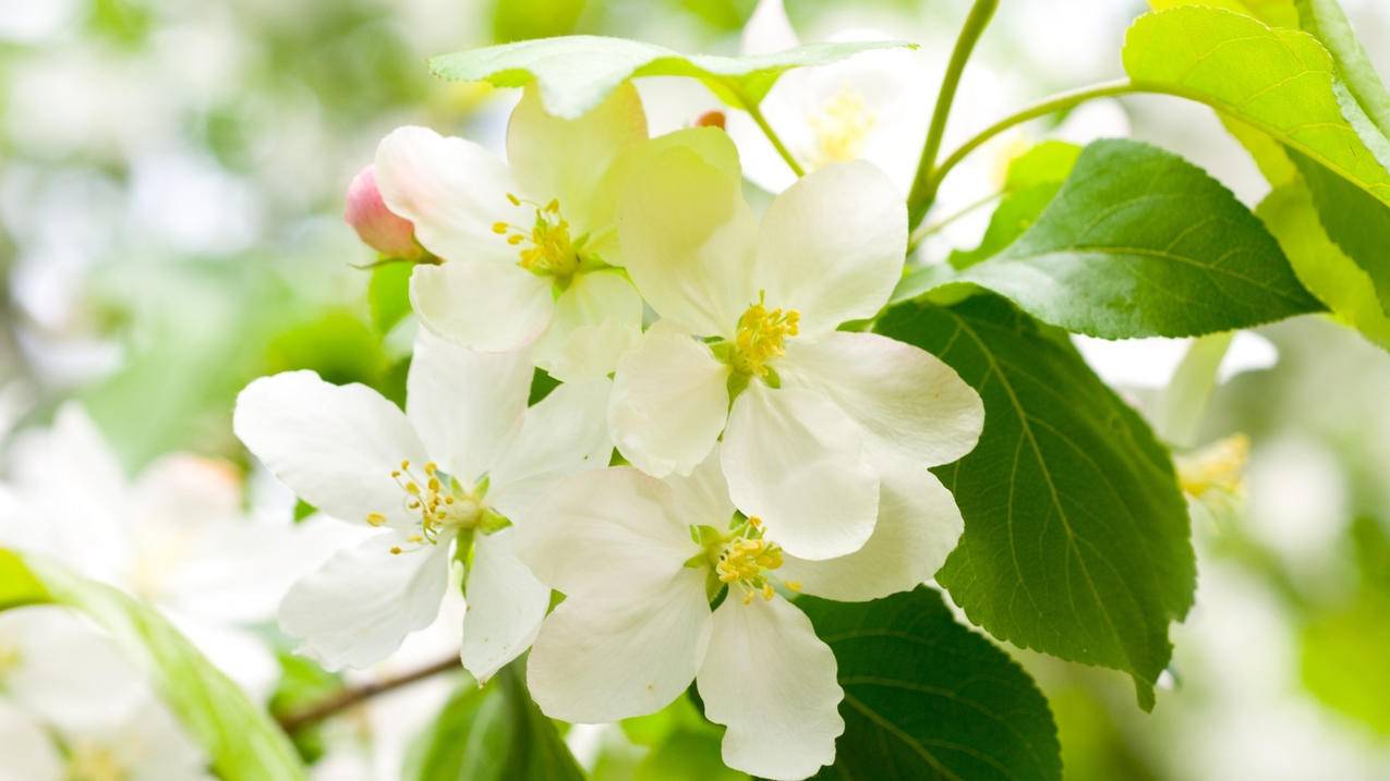 手机qq怎么看删除的群_手机怎么看删除的群消息 - messenger相关 - 55dz账号网