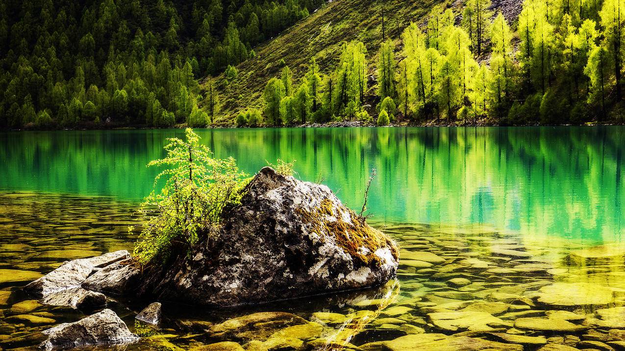 抽油管_抽油管图片 - youtube相关 - 55dz账号网