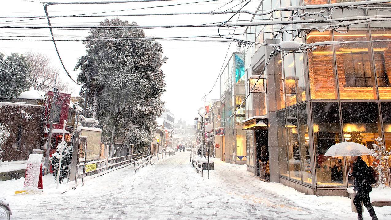 快手刷直播粉丝平台 - qq说说刷赞代刷自助下单_刷QQ人气赞网站