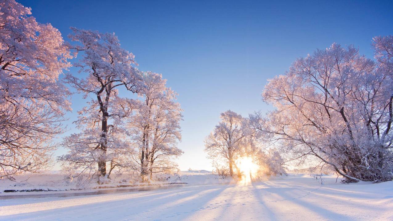 nba2konline2现役当家球星包怎么领取_2kol2当家球星包怎么获得 - IOS分享 - 55dz账号网