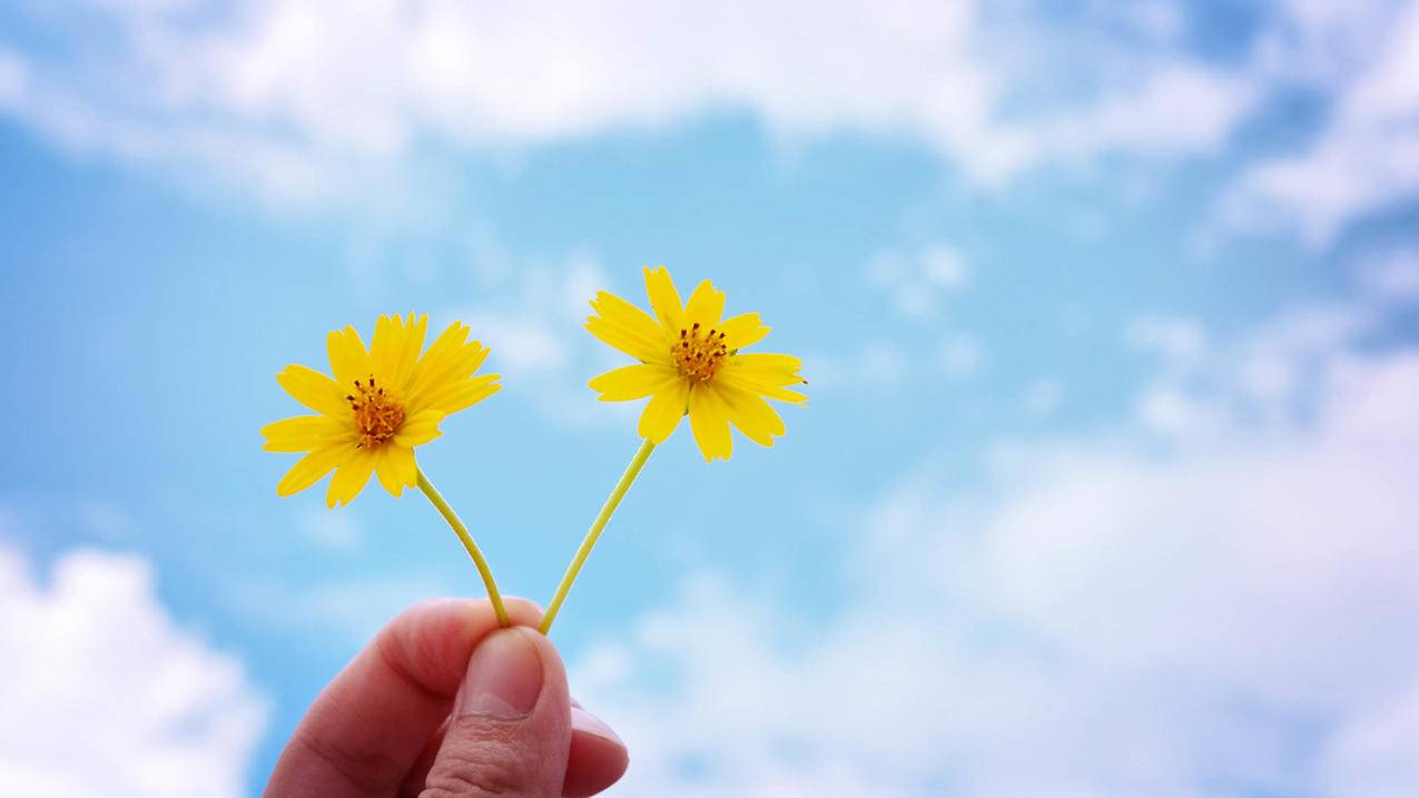 苹果id一般是什么格式 ， 苹果Apple ID是什么格式  - 55dz账号网