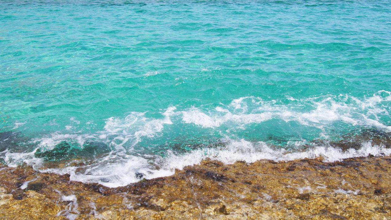 如何查看千川广告效果？ - 低价业务 - dy业务网