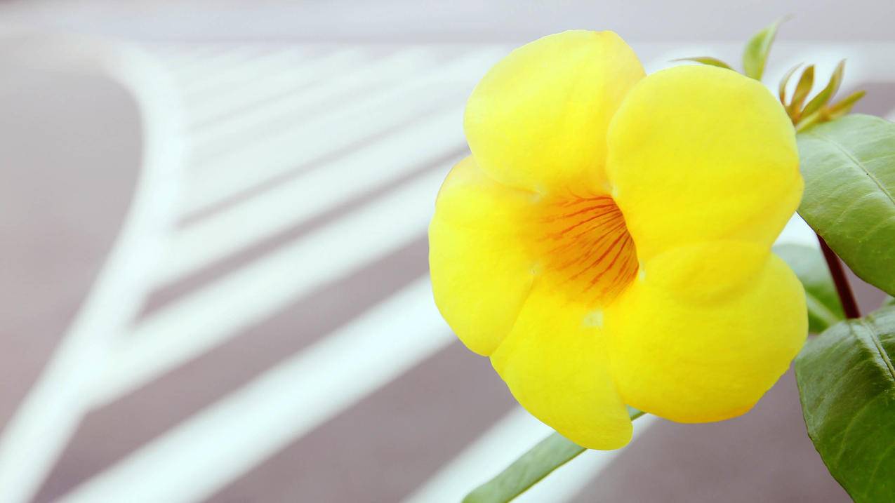 ins特效怎么使用特效_如何用ins特效 - INS相关 - 55dz账号网