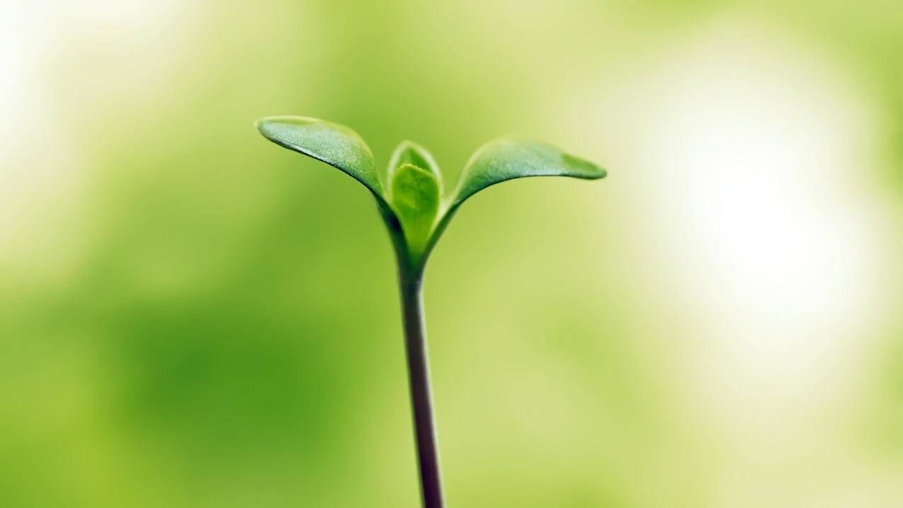 英语词缀大全252个口诀_英语词缀大全252个口诀及解释 - messenger相关 - 55dz账号网