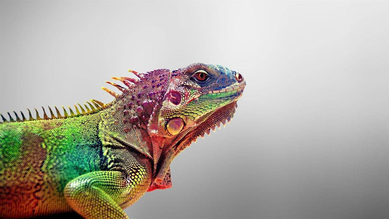 幼儿园阶段如何为初中数学学习打下基础？ - 初中教育 - ks24小时自助