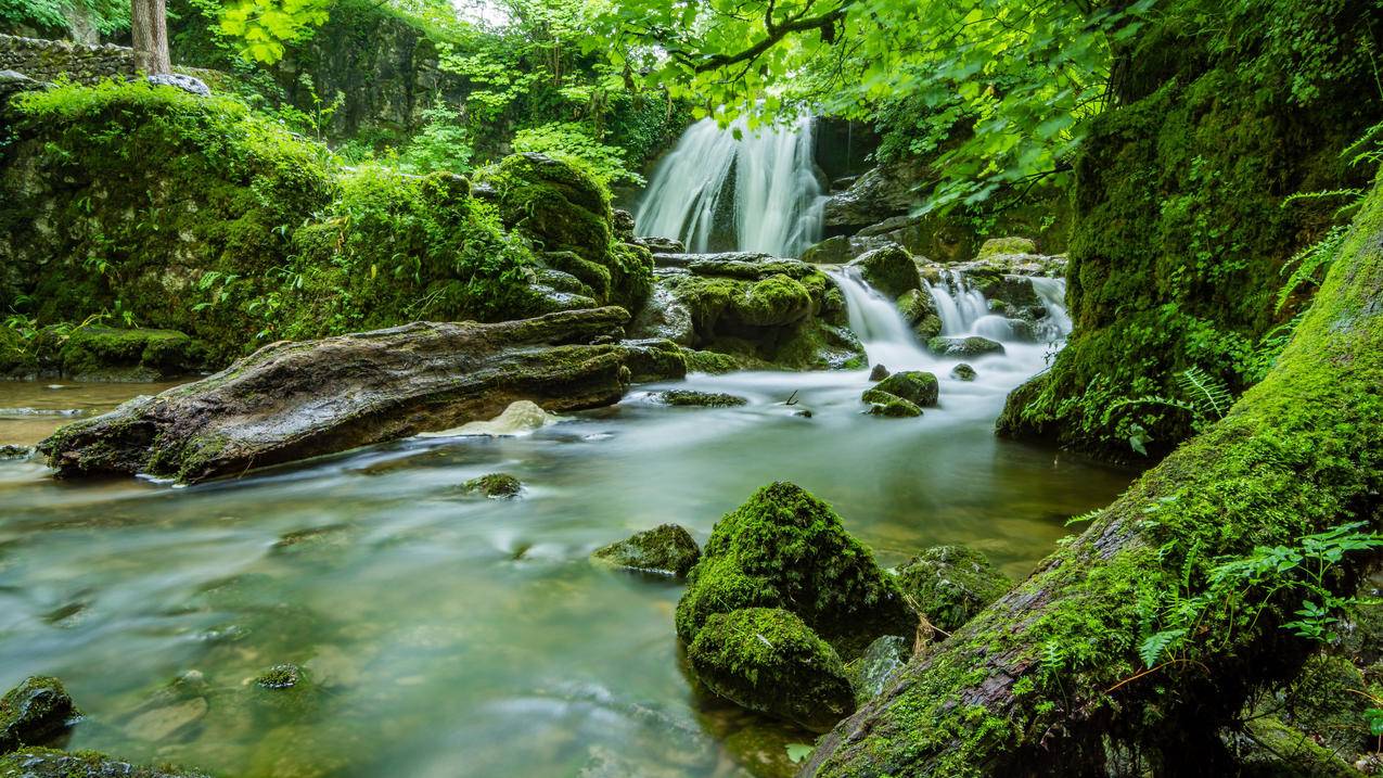 消失的增长与难觅的第二曲线——历史转折中的中美互联网 - Apple ID相关 - 55dz账号网