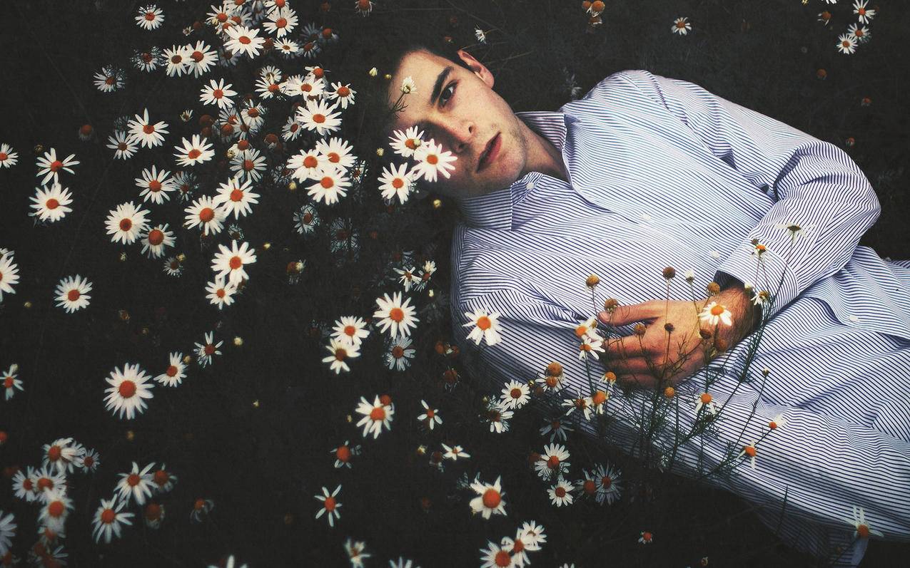 苹果手机 ID账号被锁定了怎么办? ， 苹果id被停用,官网也搜不到id  - 55dz账号网