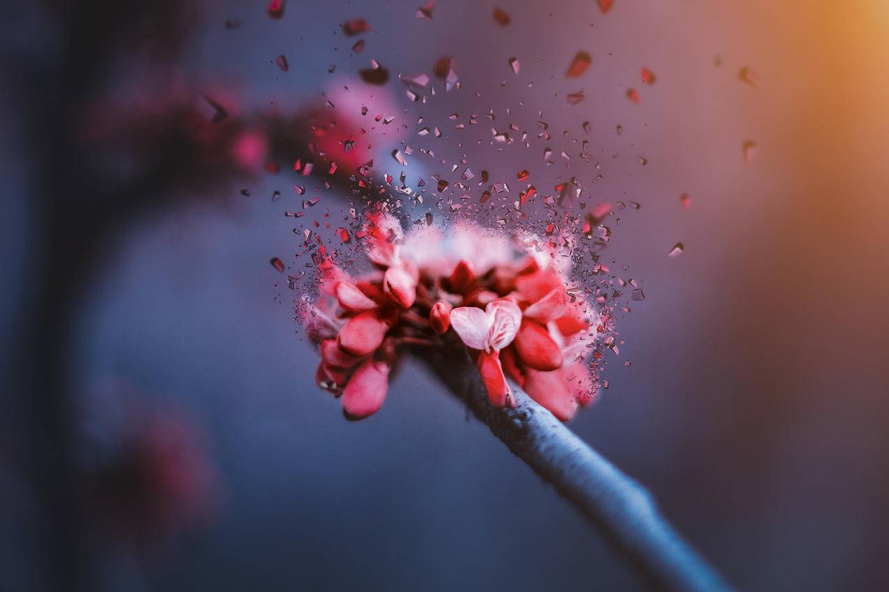 日服fgo下载全部数据_日服fgo下载全部数据错误 - 日本苹果ID - 55dz账号网