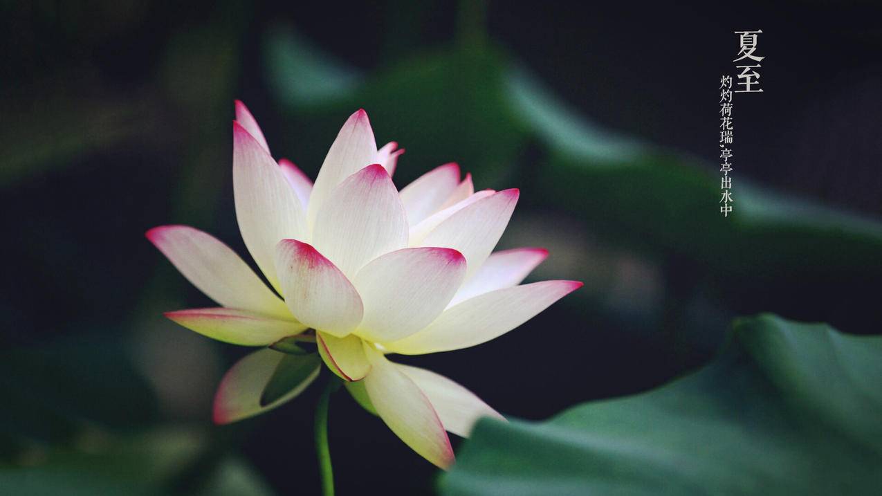 苹果怎么登录台湾id_苹果怎么登陆台湾账号 - 台湾苹果ID - 55dz账号网