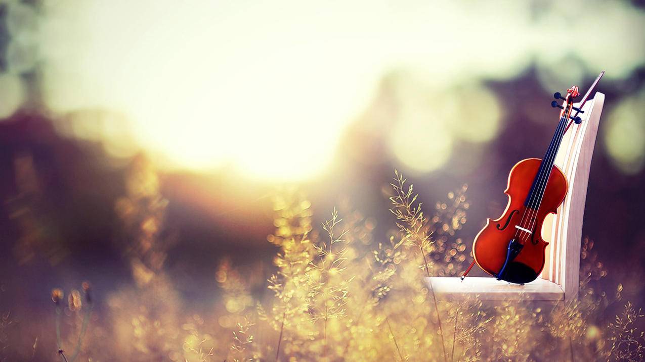 如何删除一个越南苹果id（苹果 越南） - 各区苹果ID - 55dz账号网