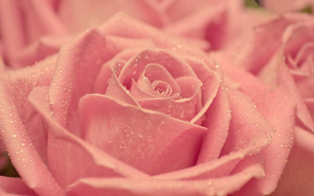 关于如何查看香港苹果id账号邮箱的信息 - 香港苹果ID - 55dz账号网