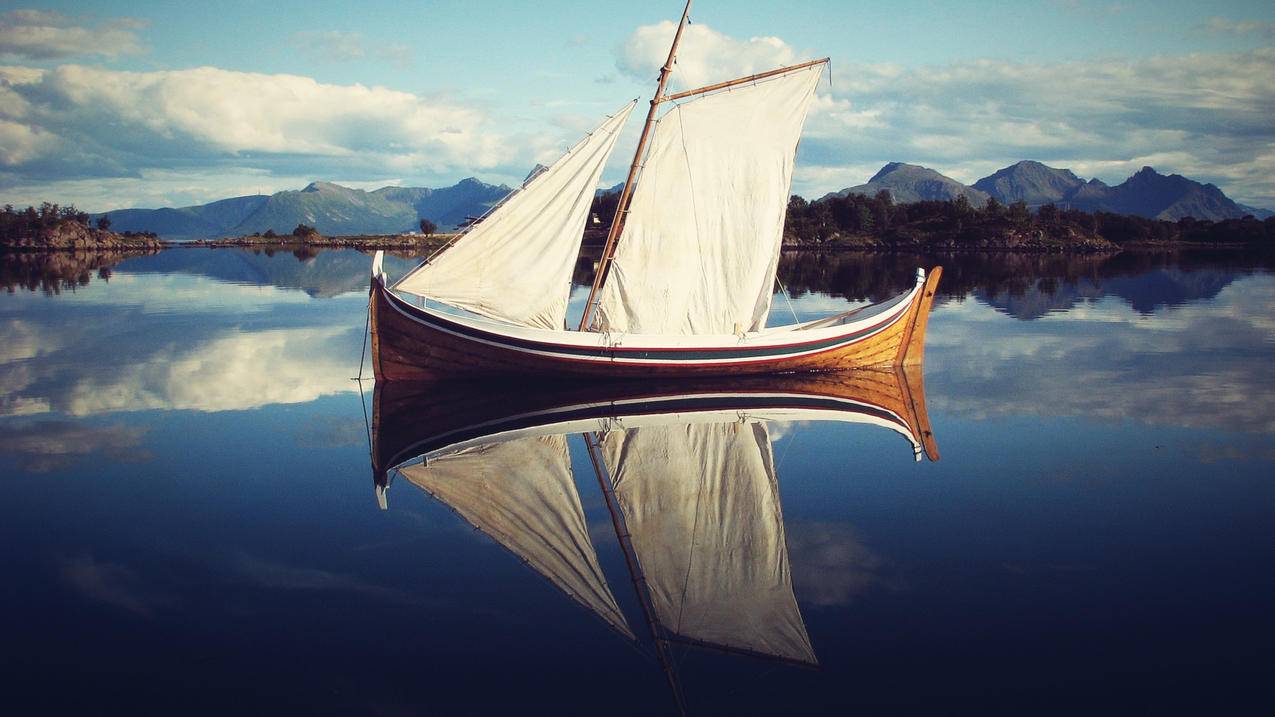 zoom怎么看到自己的界面_zoom能看到自己吗 - zoom相关 - 55dz账号网