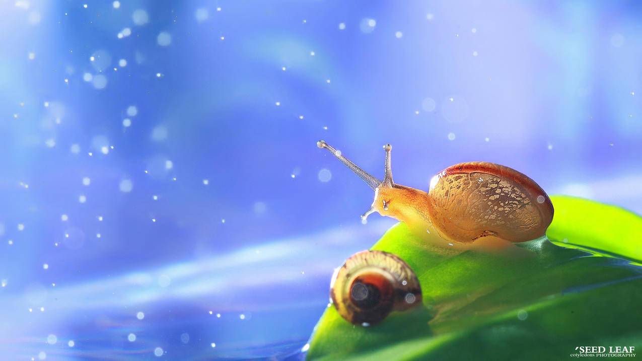 个签刷赞QQ - 全网最低刷qq永久会员卡盟,快手0.5元刷一万浏览_qq个性标签赞刷赞网