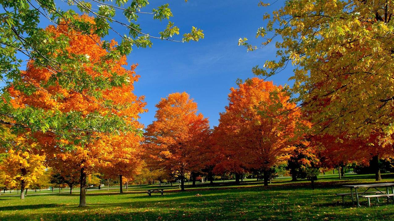 越南苹果id密码忘了24小时找回后又变成四天 - 各区苹果ID - 55dz账号网