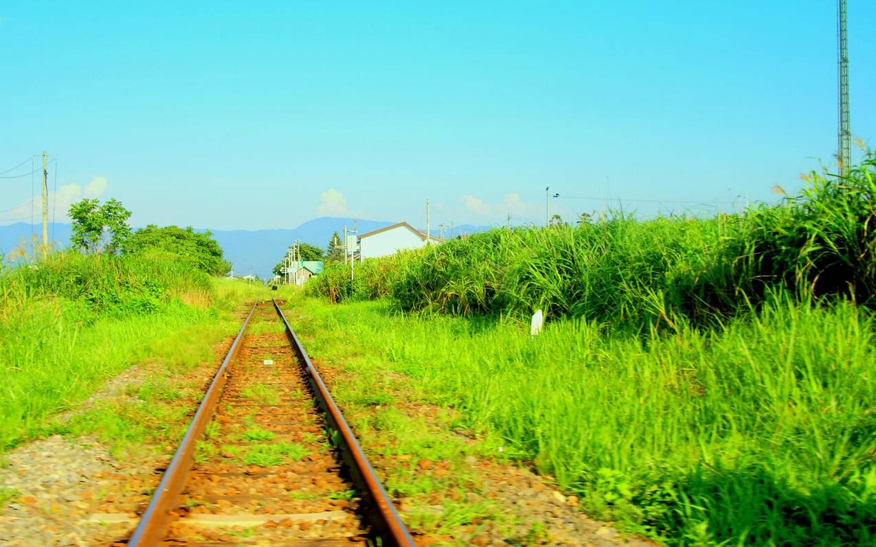 nba2konline2平板能下载吗_nba2konline2有手机版吗 - IOS分享 - 55dz账号网