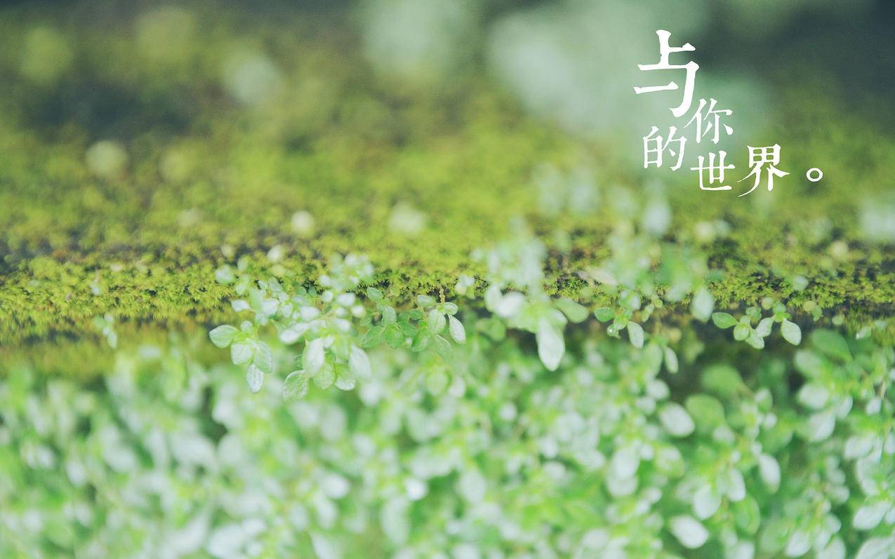 包含此appleid尚未在itunes商店使用过是什么意思香港的词条 - Apple ID相关 - 55dz账号网