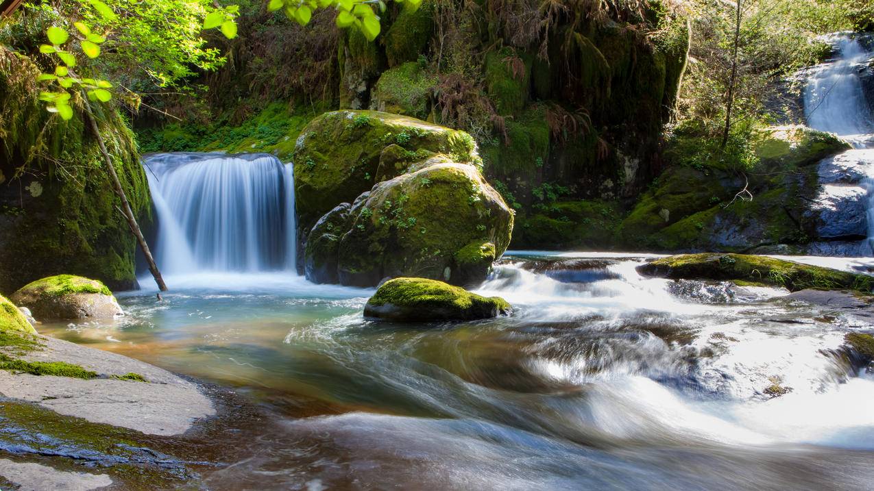 苹果手机怎么注册越南id账号邮箱（苹果手机怎么注册越南id账号邮箱） - 各区苹果ID - 55dz账号网