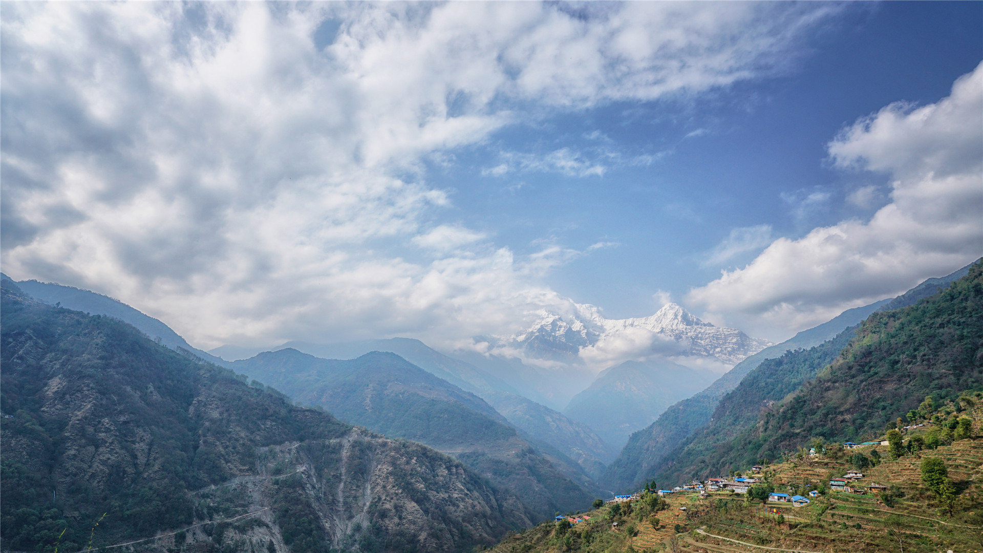 美服苹果id充值不了还有订单未处理怎么办_苹果美服id无法购买 - 美国苹果ID - 55dz账号网